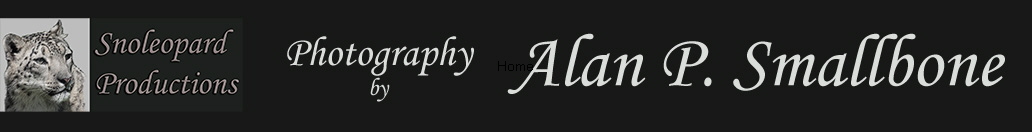 Home